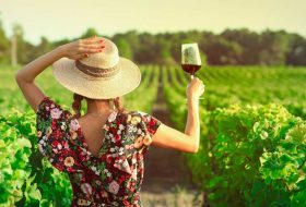 Degustazione_Vino_Vigneto_Wine_AdobeStock_290137716_900x500