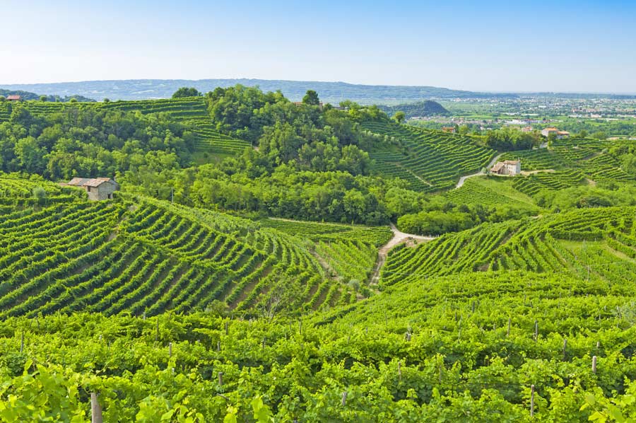 Valdobbiadene_vista-panoramica_Veneto_AdobeStock_116020552