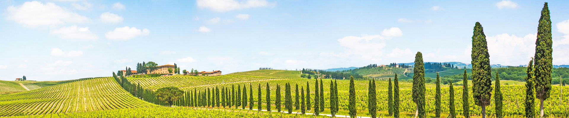 Chianti_Toscana_Wine_Valle_AdobeStock_52406366_1920x400